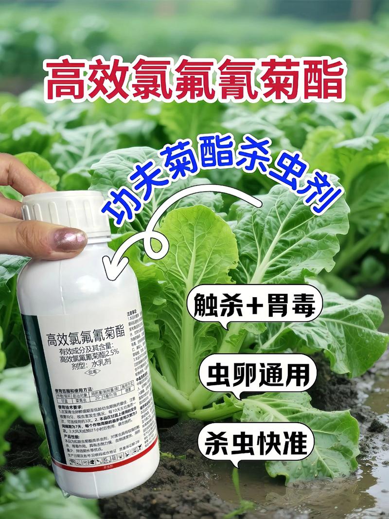 潍坊代生中心:农药对供卵代生妈妈的危害